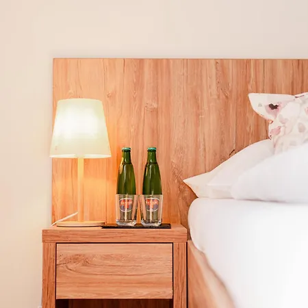 Rezidence U Kamenneho Mostu Apartman