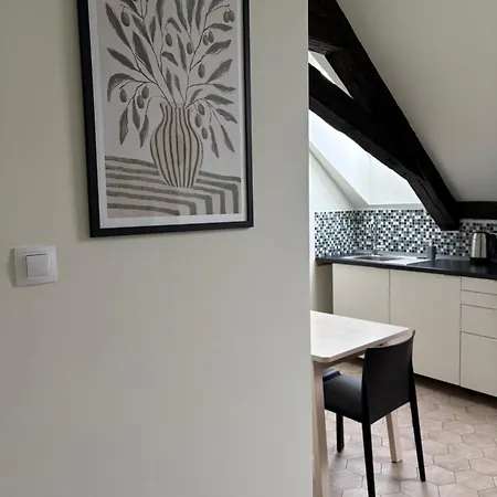 Rezidence U Kamenneho Mostu Apartman Písek
