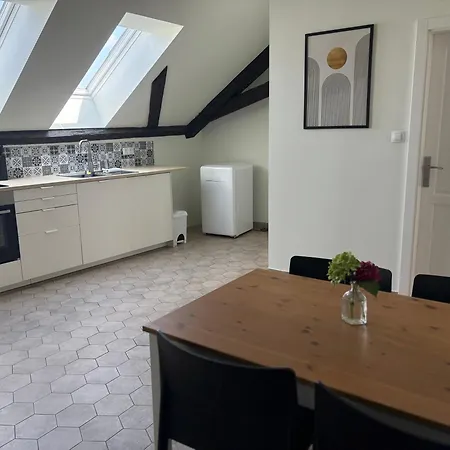 Apartman Rezidence U Kamenneho Mostu *
