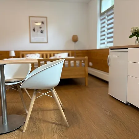 Rezidence U Kamenneho Mostu Apartman