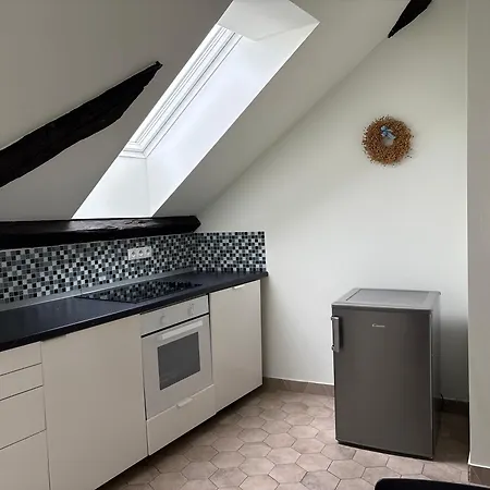 Apartament Rezidence U Kamenneho Mostu