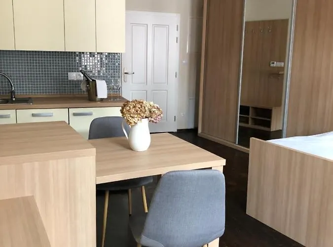 Apartmán Rezidence U Kamenného Mostu