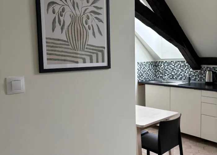Rezidence U Kamenneho Mostu Apartment Písek