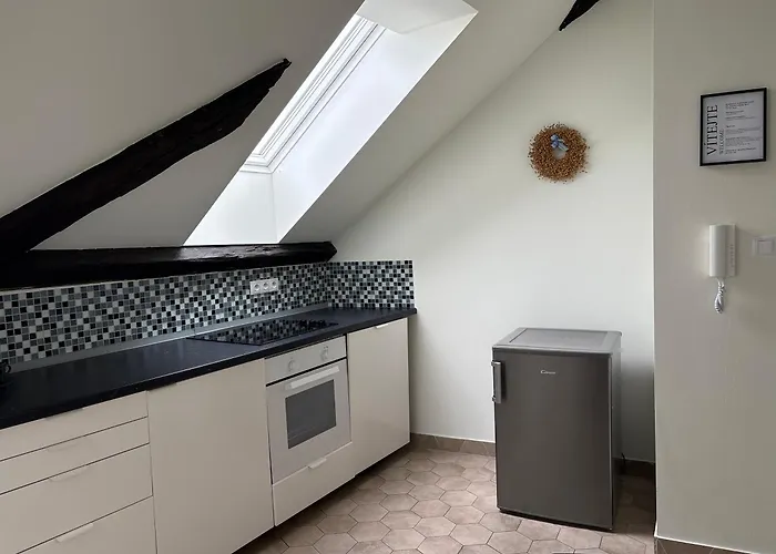 Apartment Rezidence U Kamenneho Mostu